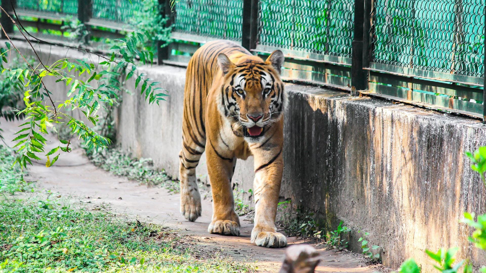 Sarthana Nature Park and Zoo