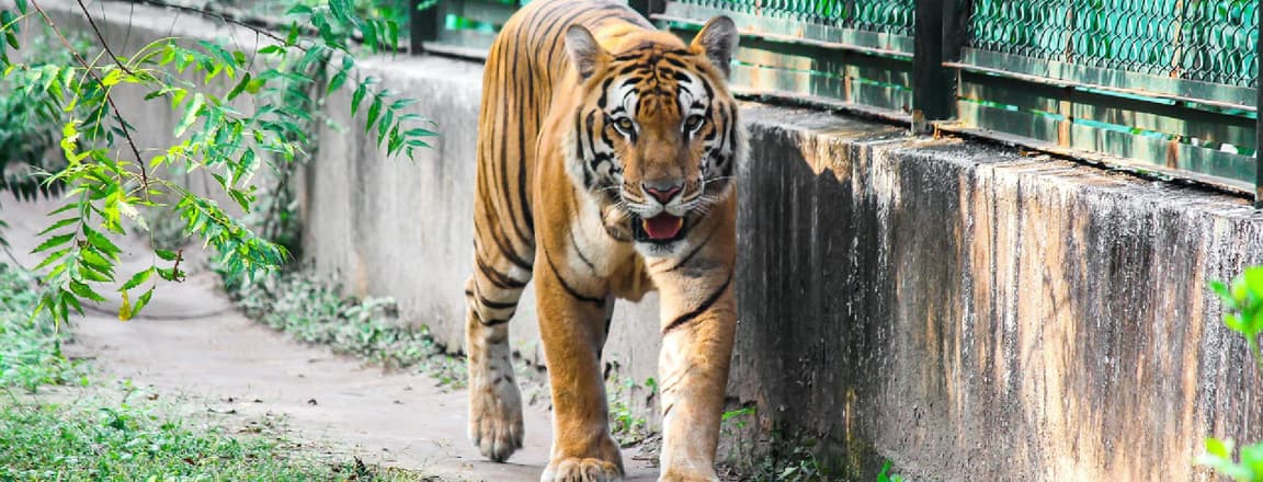 Sarthana Nature Park and Zoo