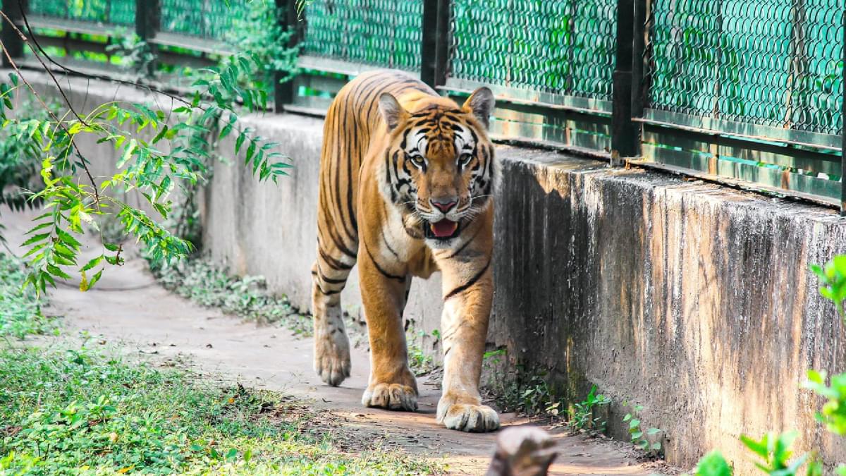 Sarthana Nature Park and Zoo