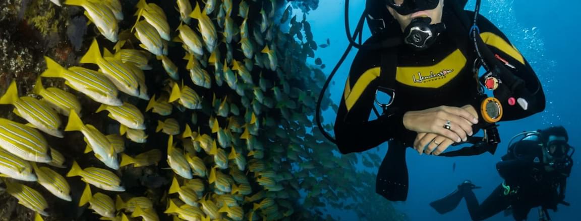 Scuba Diving in Singapore