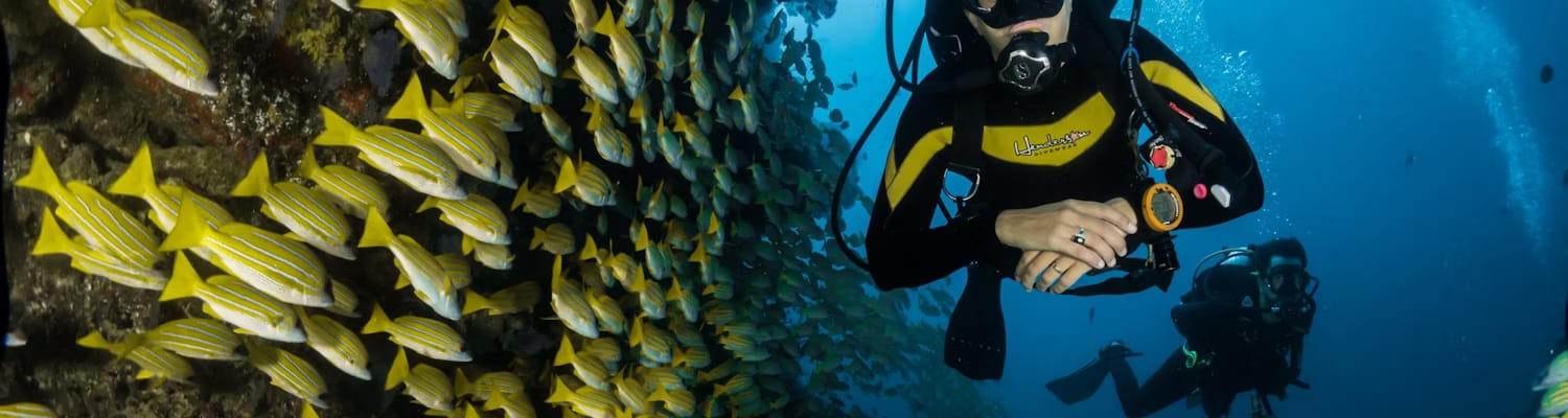 Scuba Diving in Singapore