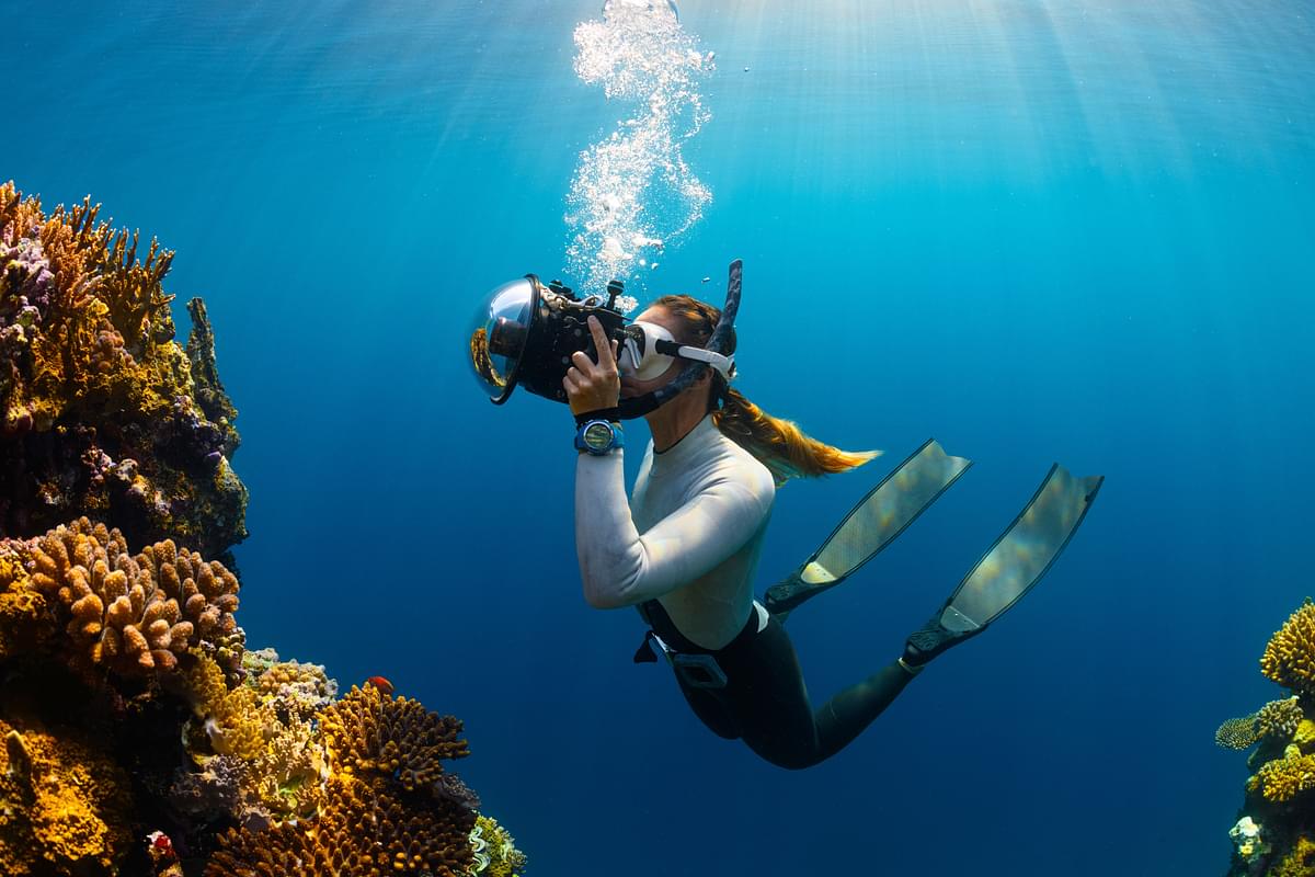 Scuba diving in Vinh Hy Bay