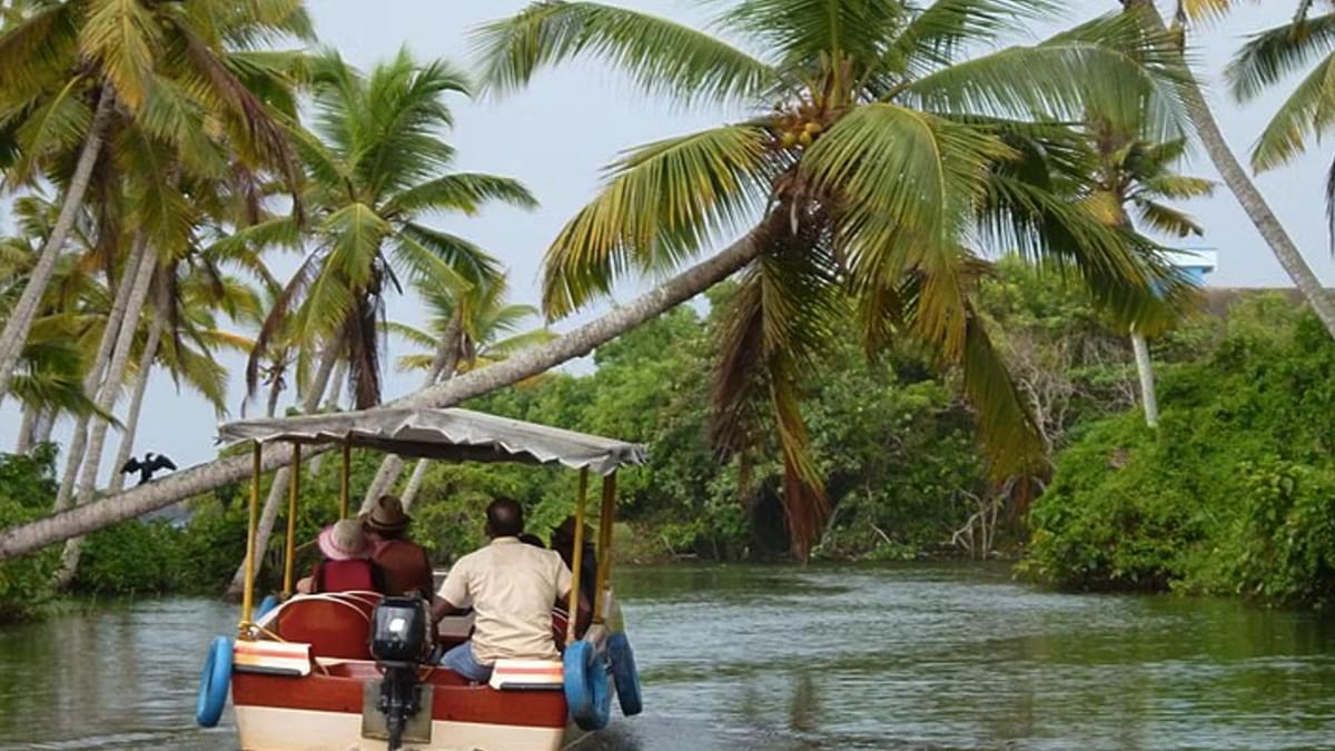 Serene Boating Tours