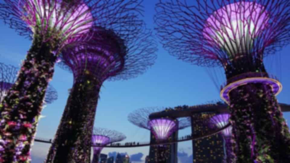 Singapore Tour Packages