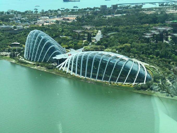 Singapore botanical garden