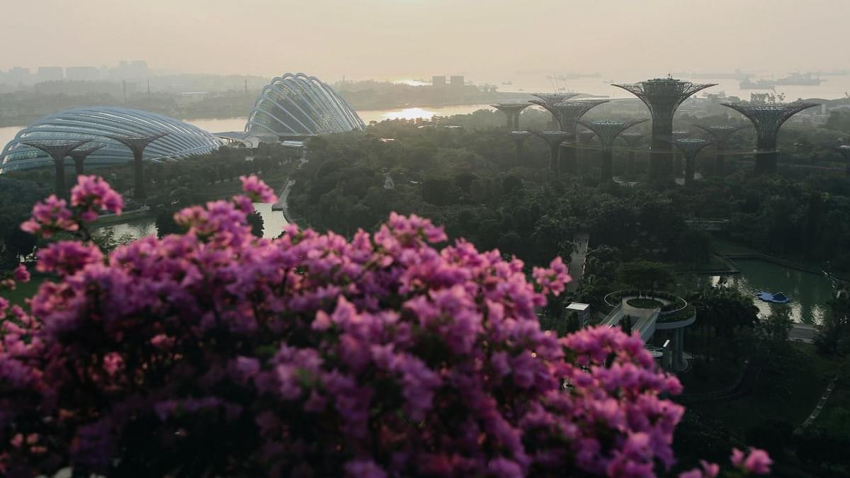 Climate in Singapore