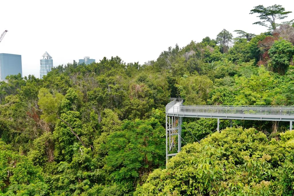 Singapore Southern Ridges Hiltop