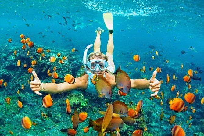 snorkeling