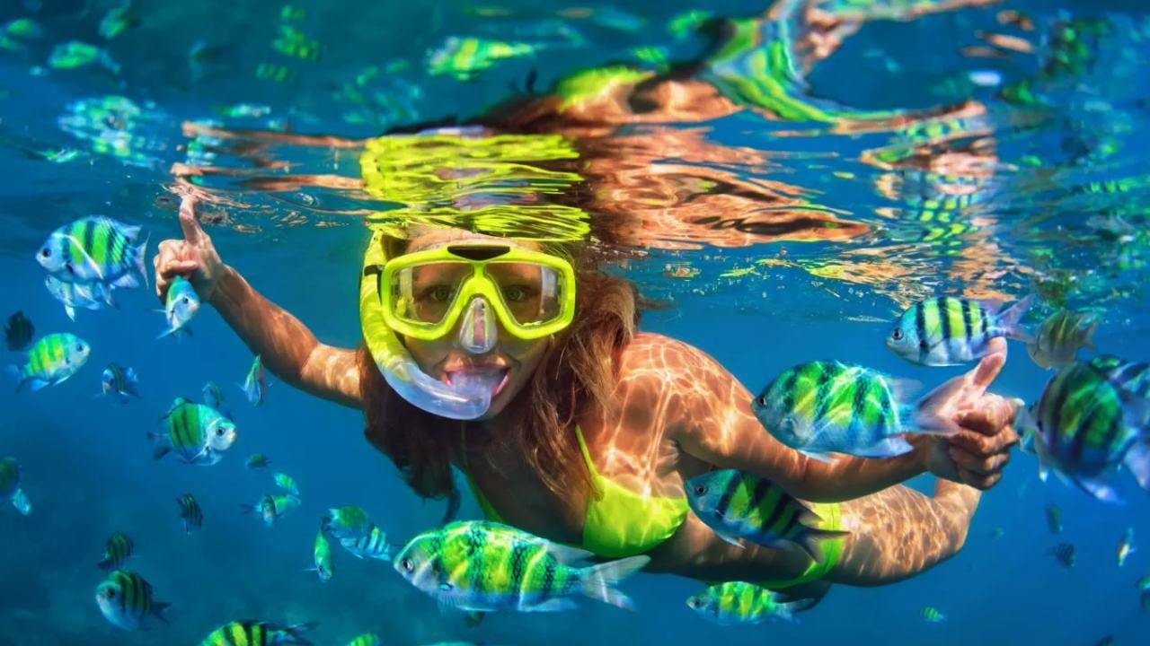 https://images.pickyourtrail.com/Snorkelling_australia_ca5a76b44e.jpg?dpr=1&q=40