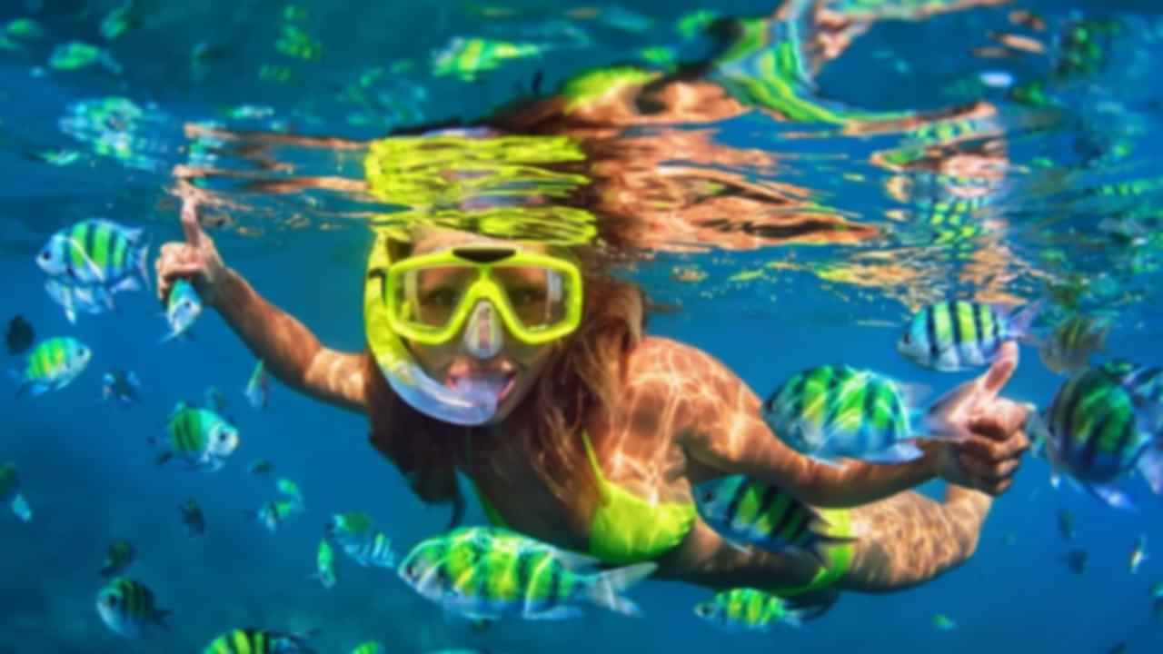 https://images.pickyourtrail.com/Snorkelling_australia_ca5a76b44e.jpg?dpr=1&q=40