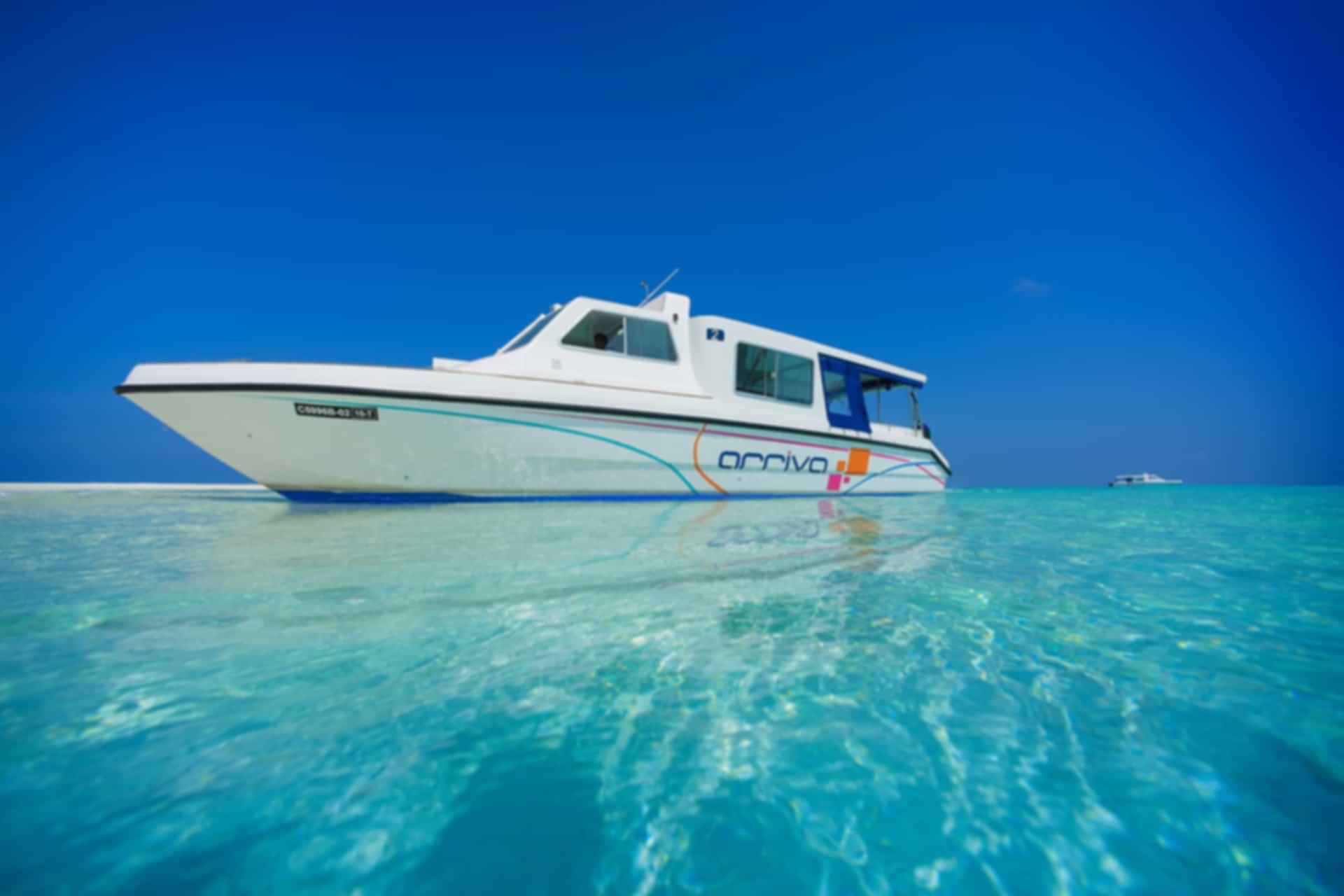 https://images.pickyourtrail.com/Speed_Boat_ca70502d84.jpg?dpr=1&q=40