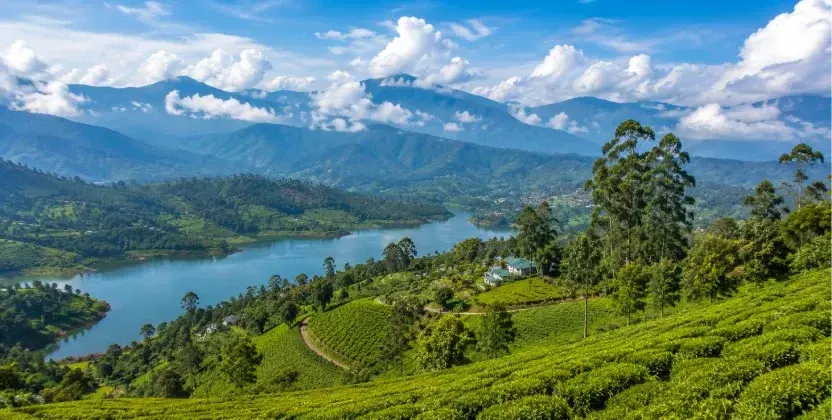 Sri Lanka in September is ideal for travellers looking for fewer crowds and a relaxed holiday