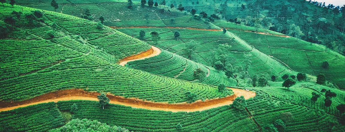 Best Time to Visit Sri Lanka