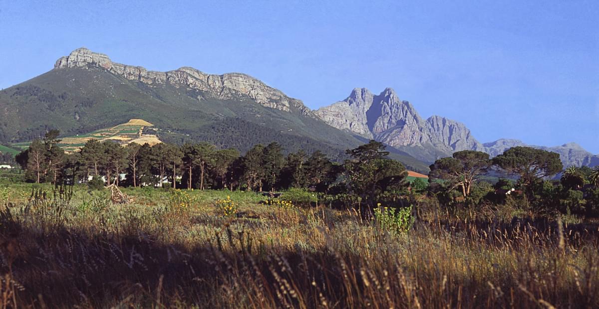 Stellenbosch