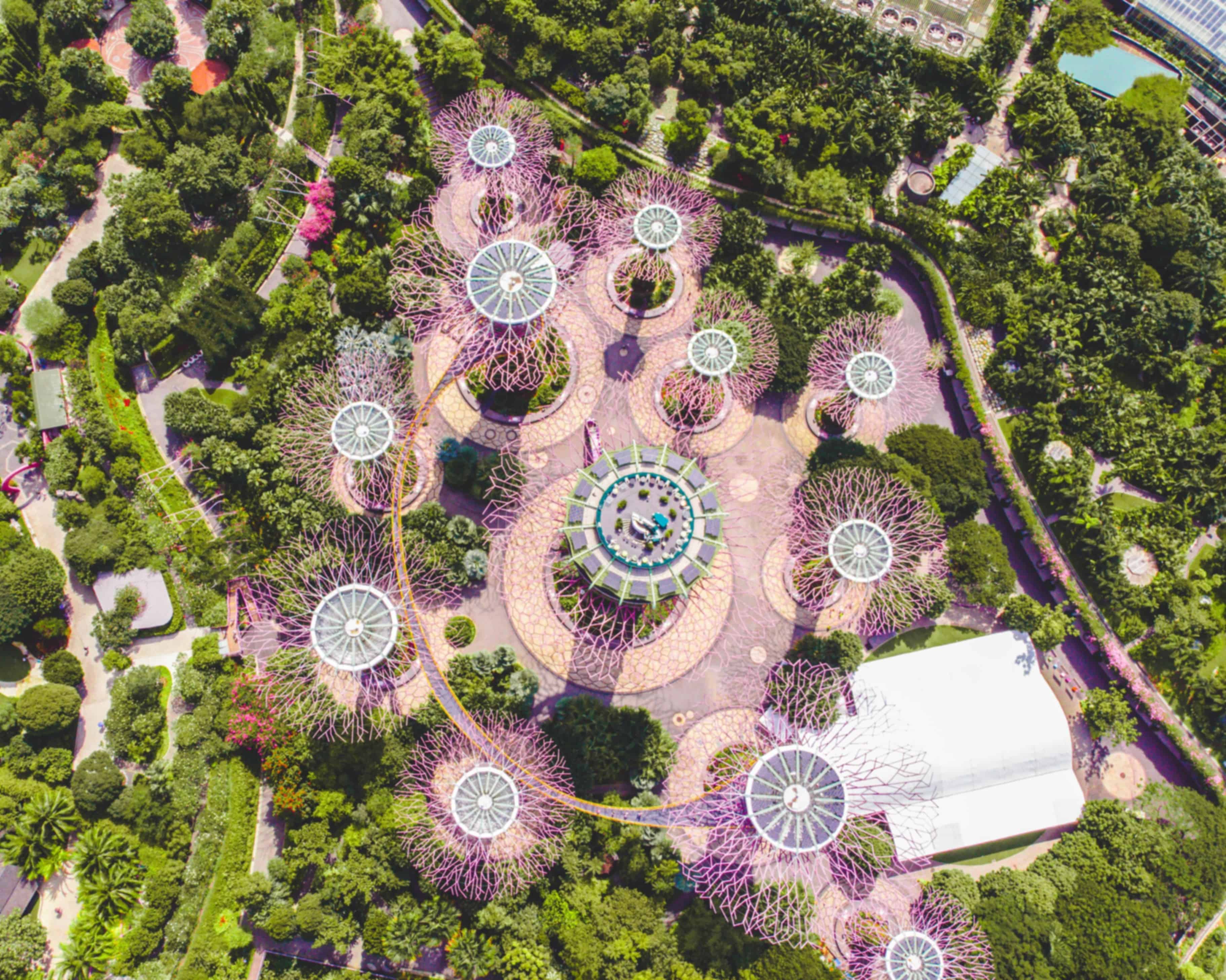 Supertree Grove Singapore: Tickets, Timings, Location & Complete Visitor Guide