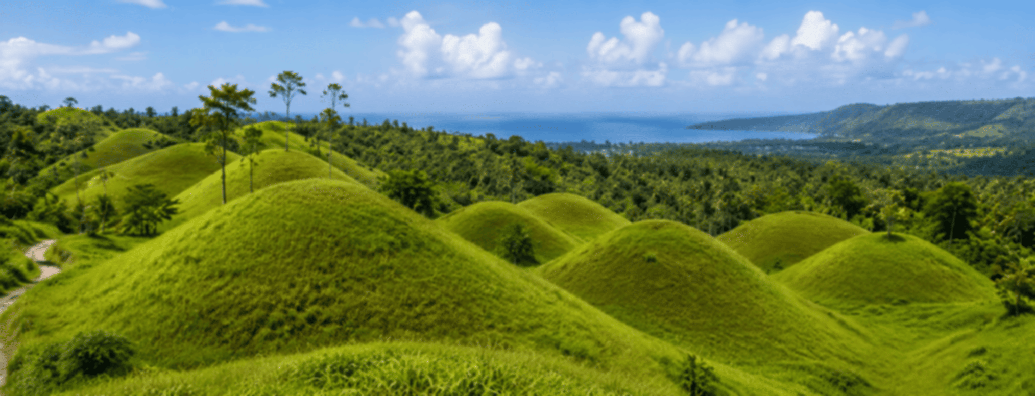 Teletubbies Hill Bali: Exploring Nature's Mystical Canvas