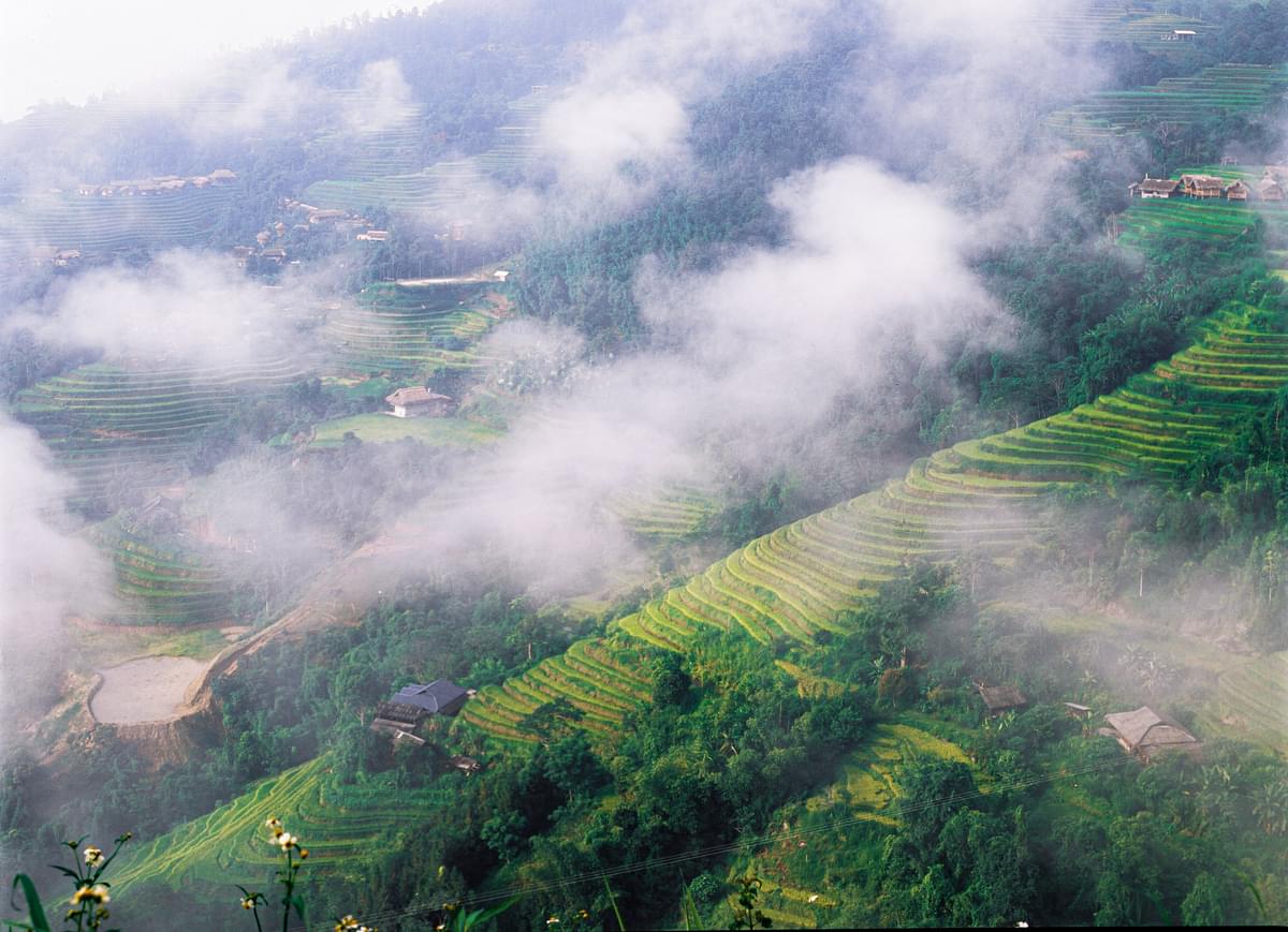Sapa Terraced Rice Fields