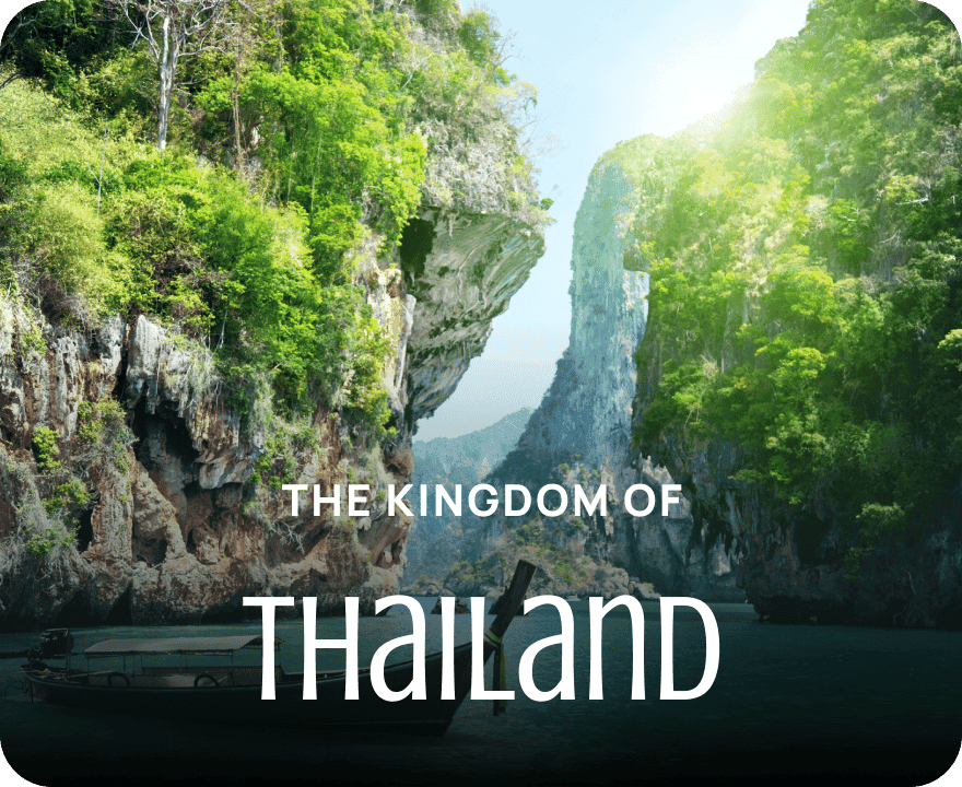 themed-media-cards-ae/customize/tha