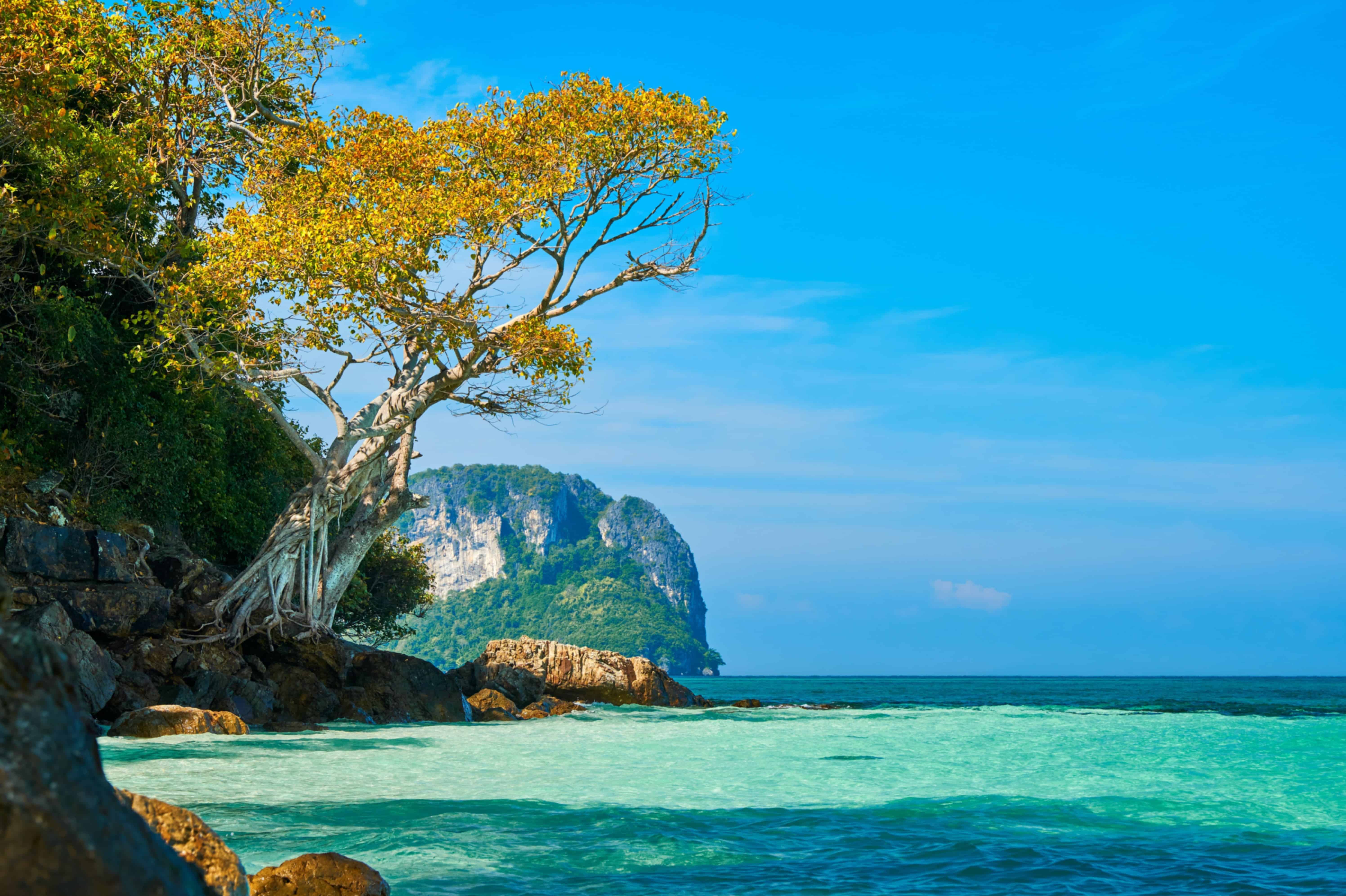 Thailand vs Singapore 2026: Which Destination Is Better for Indian Travellers?