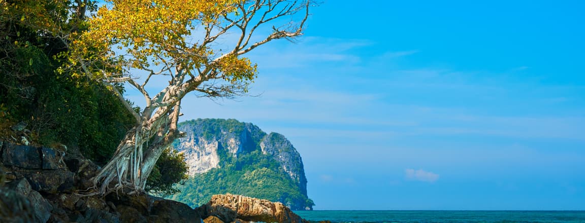 Thailand Vs Singapore