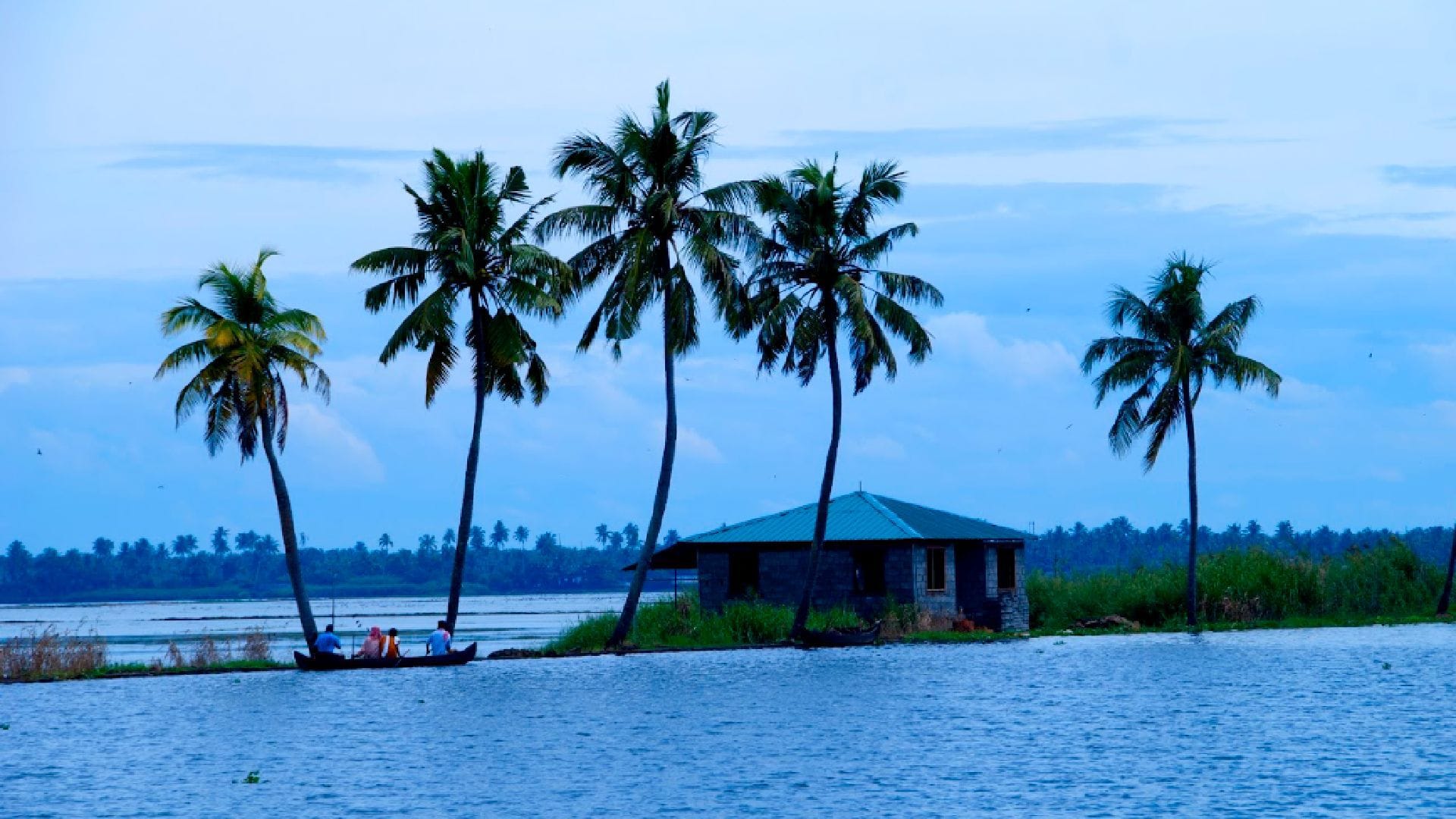 Things to do in Kerala