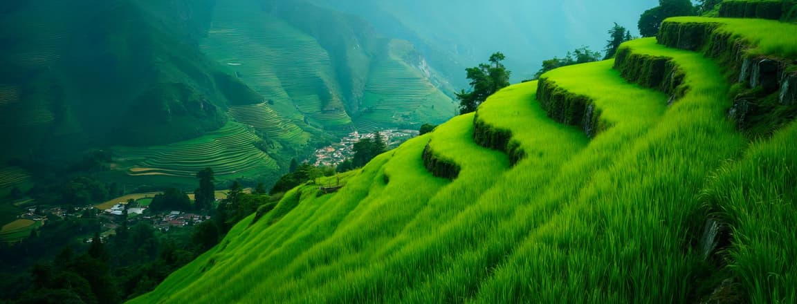 Things to do in Nagaland