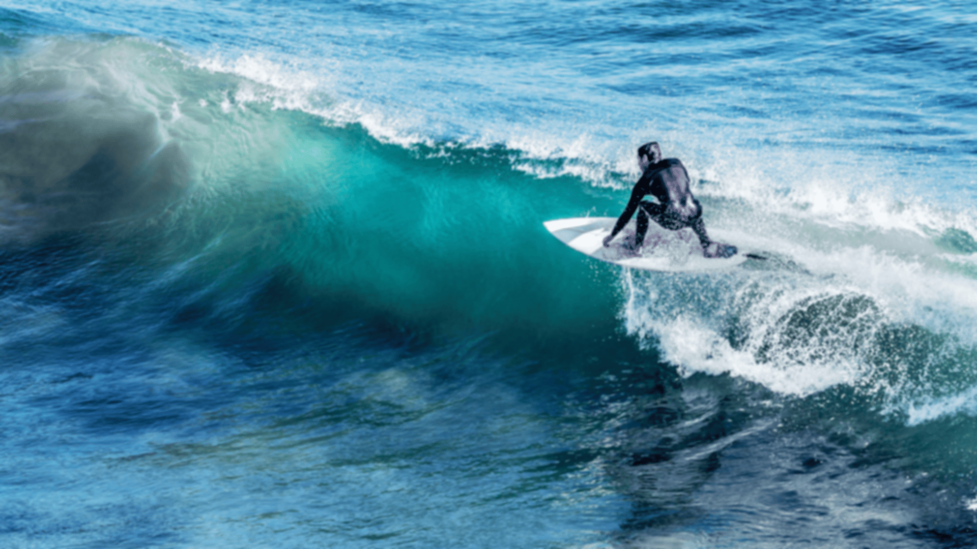 Ultimate Guide to Water Sports in Singapore: Best Activities & Locations