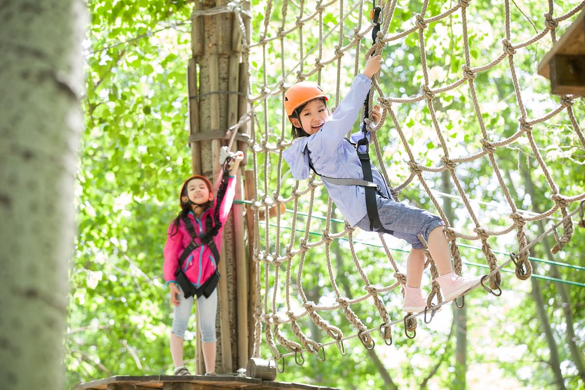 Tree Top Adventure Park.jpg