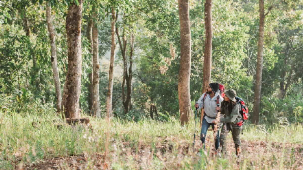 Trekking in Karnataka