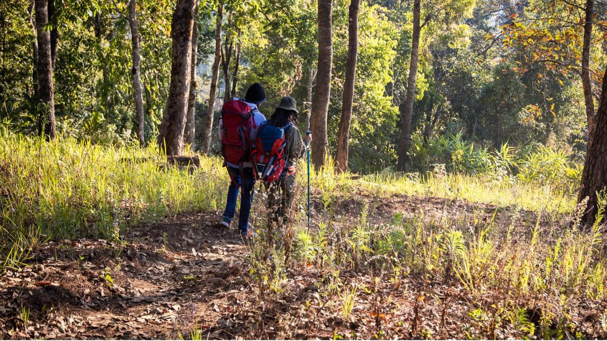 Trekking in Madhya Pradesh