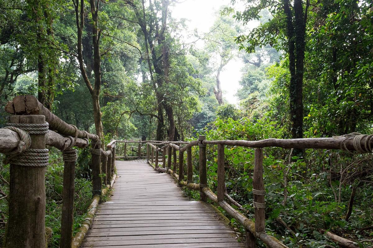 Trekking in thailand