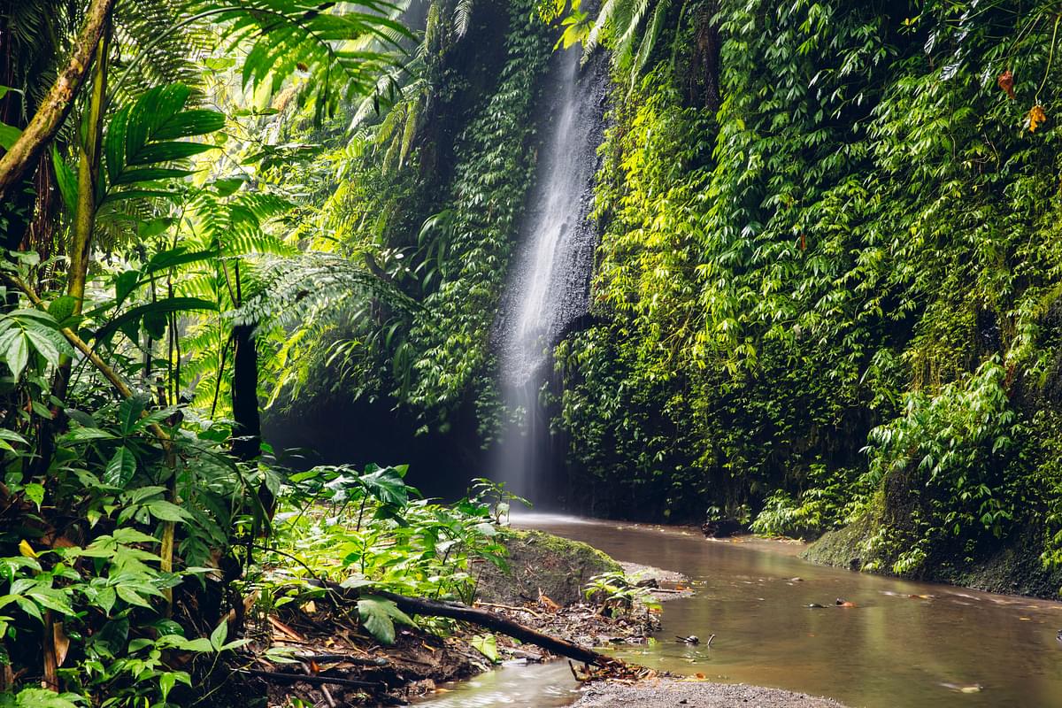 TukadCepungWaterfall.jpg