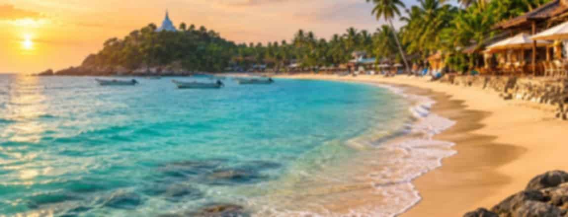 Unawatuna Beach: The Complete Guide to Sri Lanka's Most Popular Beach Town