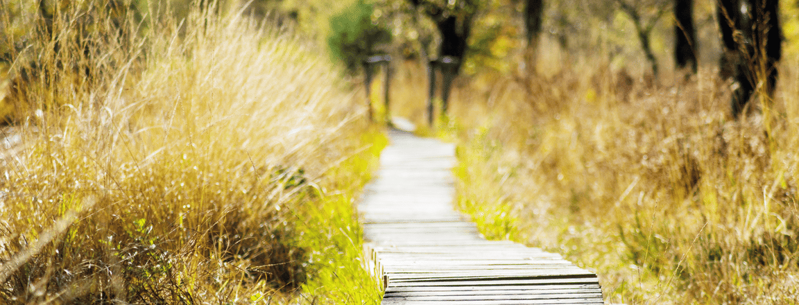 Sentosa Mega adventure park