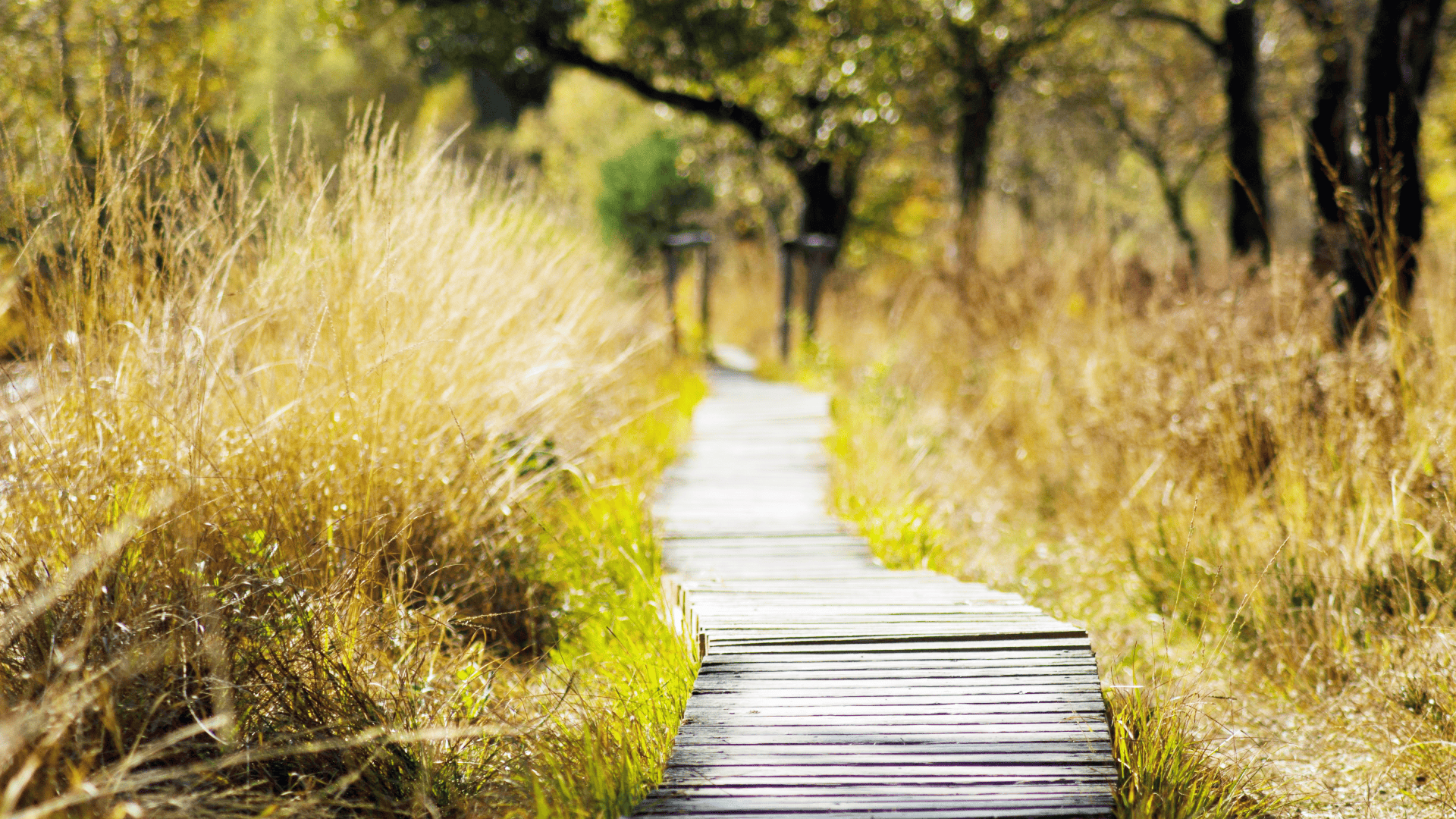 Sentosa Mega adventure park