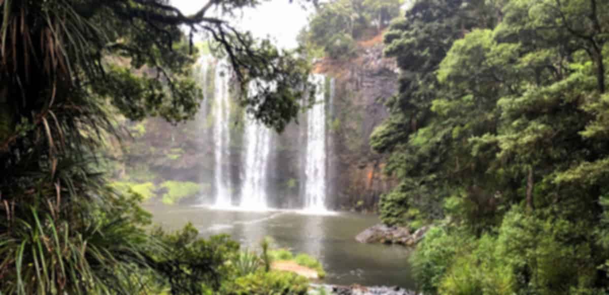 Whangarei Travel Guide and Tourism