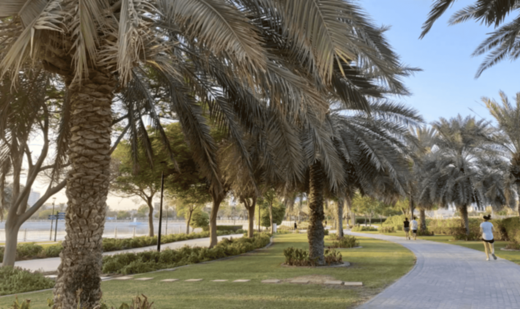 Al Barsha Pond Park Dubai Travel Guide