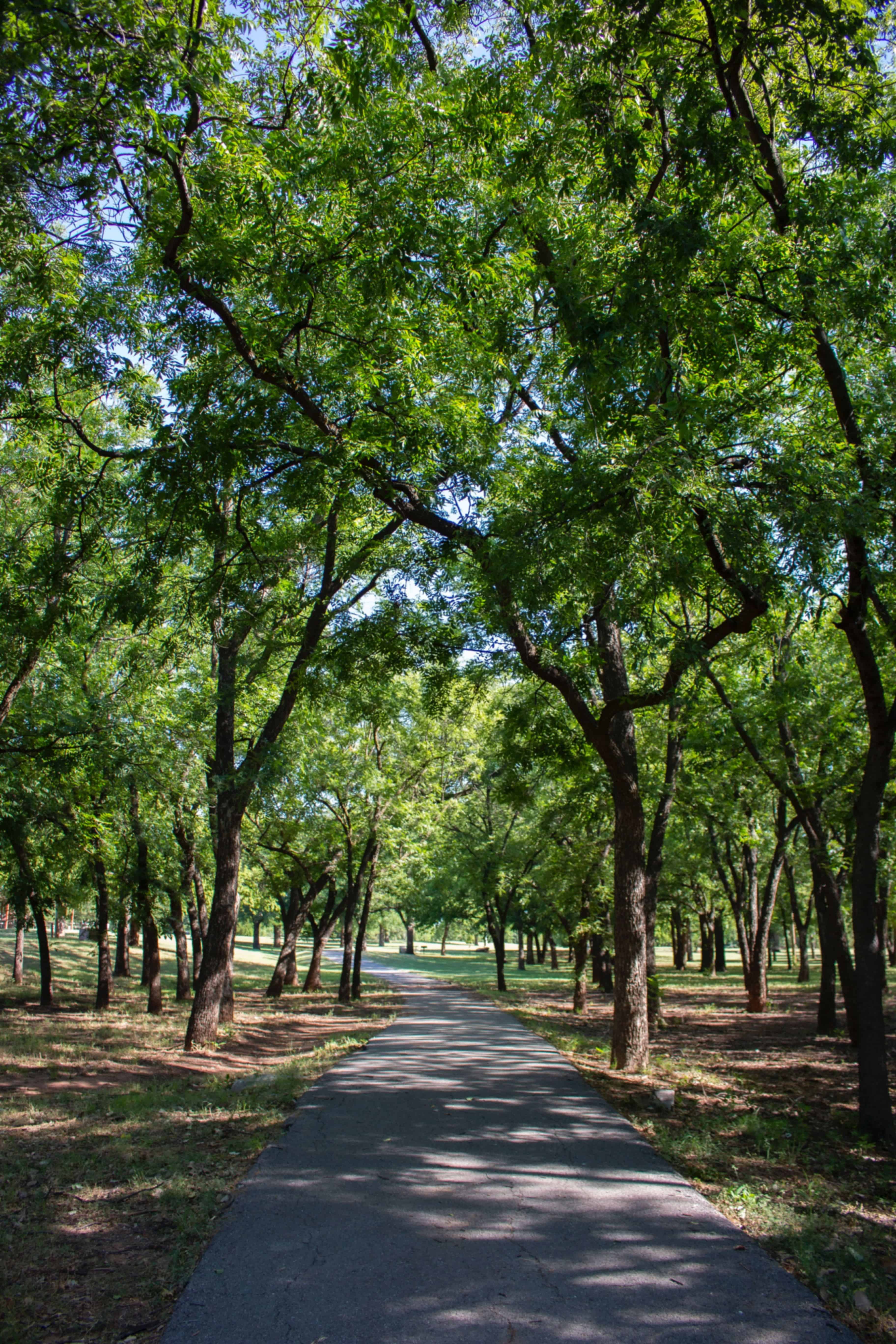 Take a Look Into National Parks In Vietnam