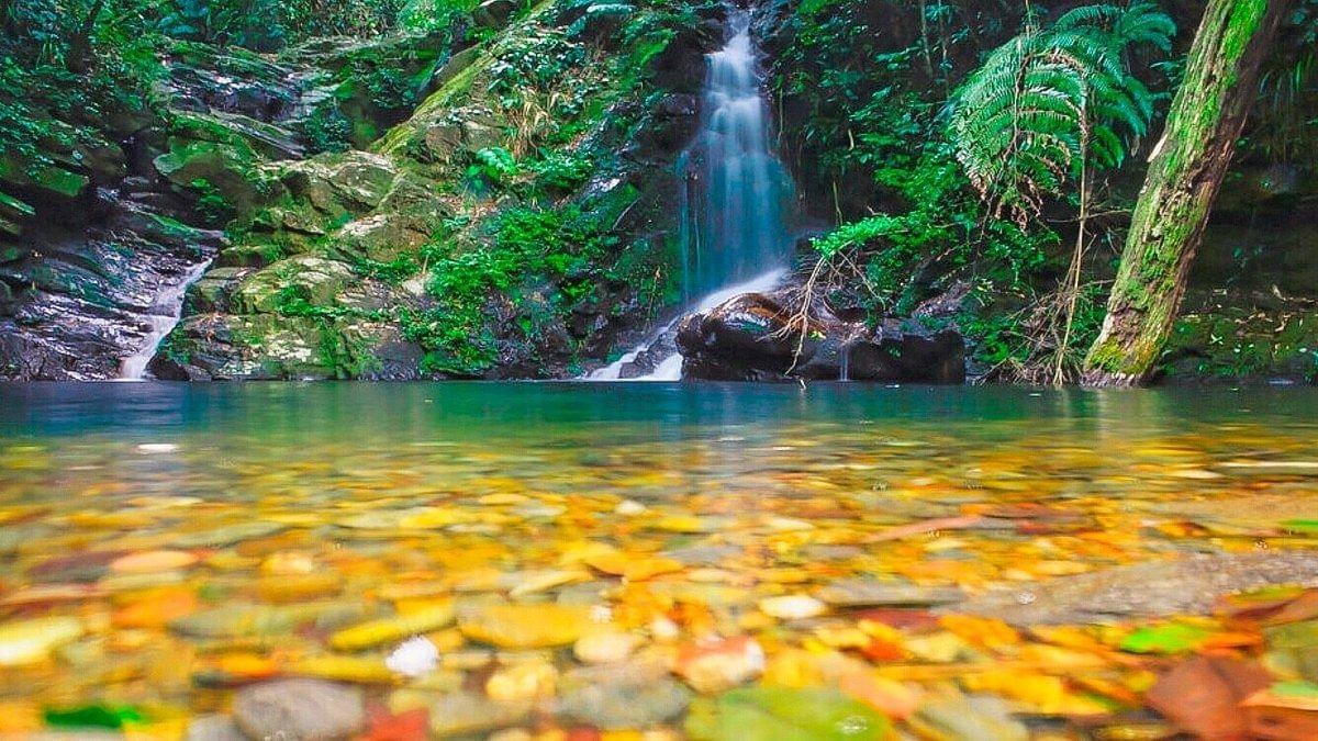 Bach Ma National Park