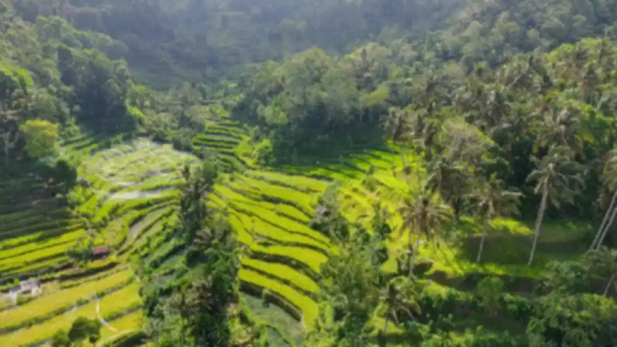 Bali in February: Weather, Places, Things to Do, Festivals & Complete Travel Guide 2026