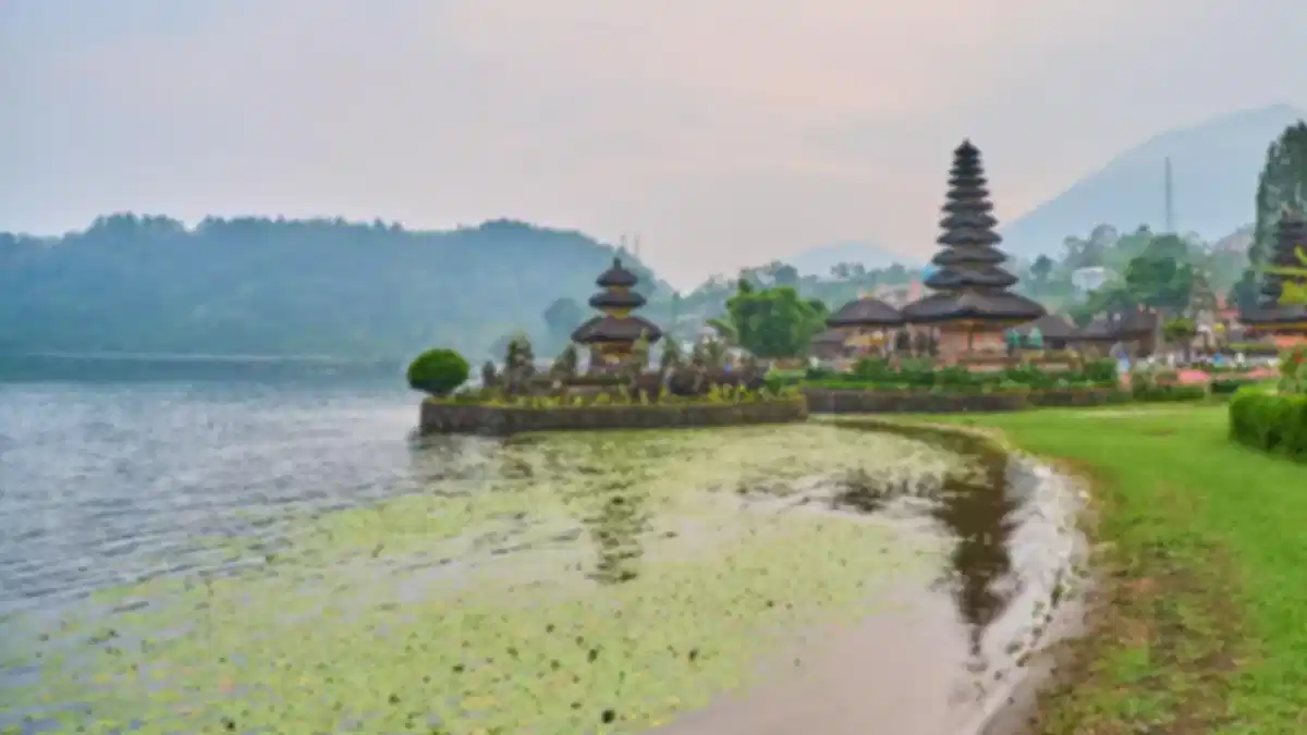 Bali in January: Weather, Cost, Crowds, Experiences & Travel Tips