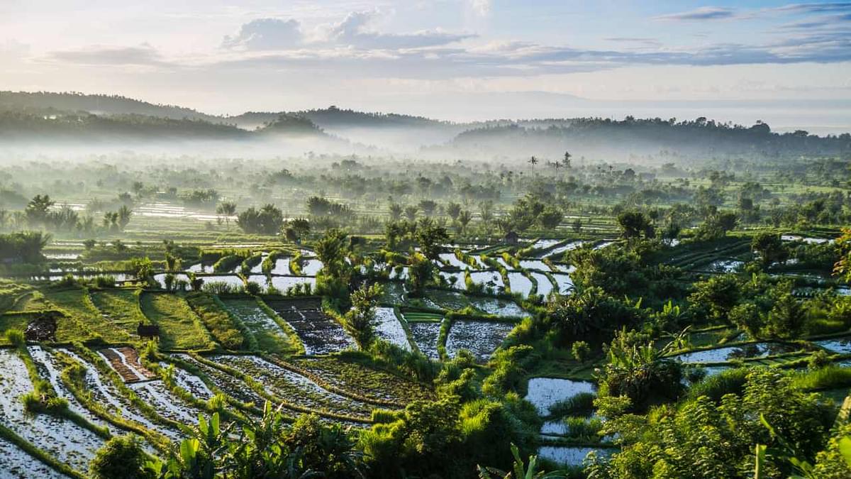 Ariel view of bali landscape 