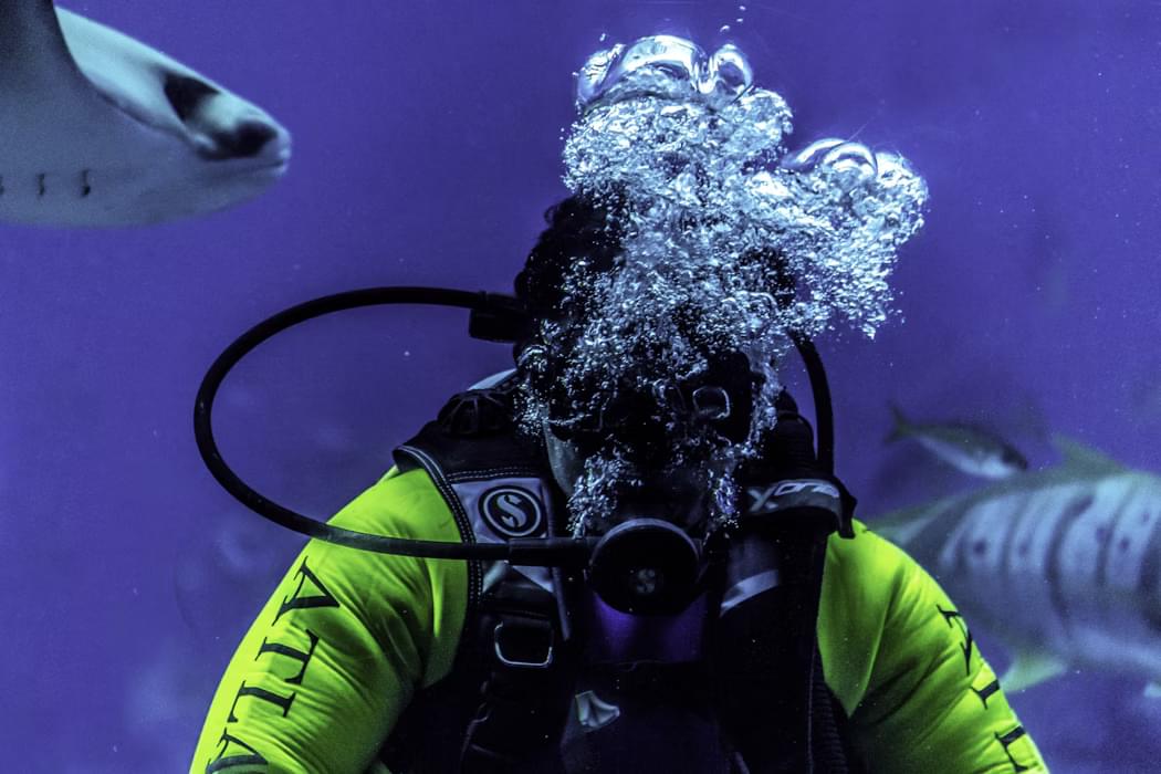 Scuba diver underwater in Singapore with air bubbles and marine life in the background