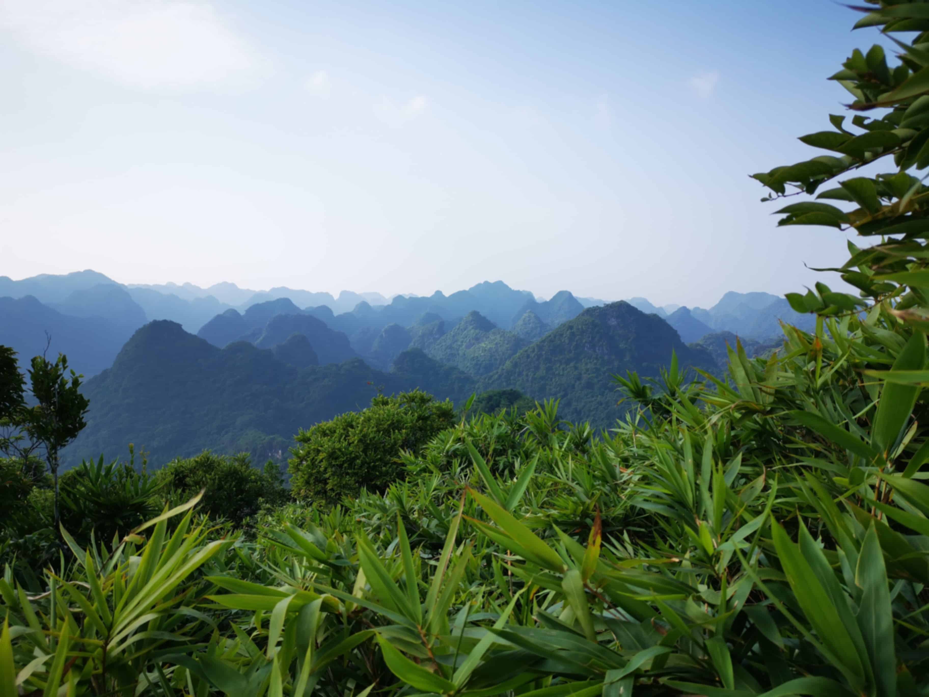 Best Time To Visit Hai Phong