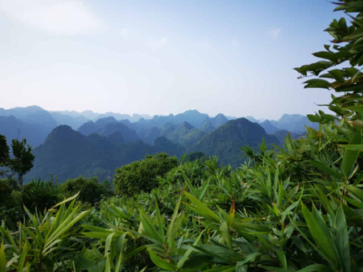 Best Time To Visit Hai Phong