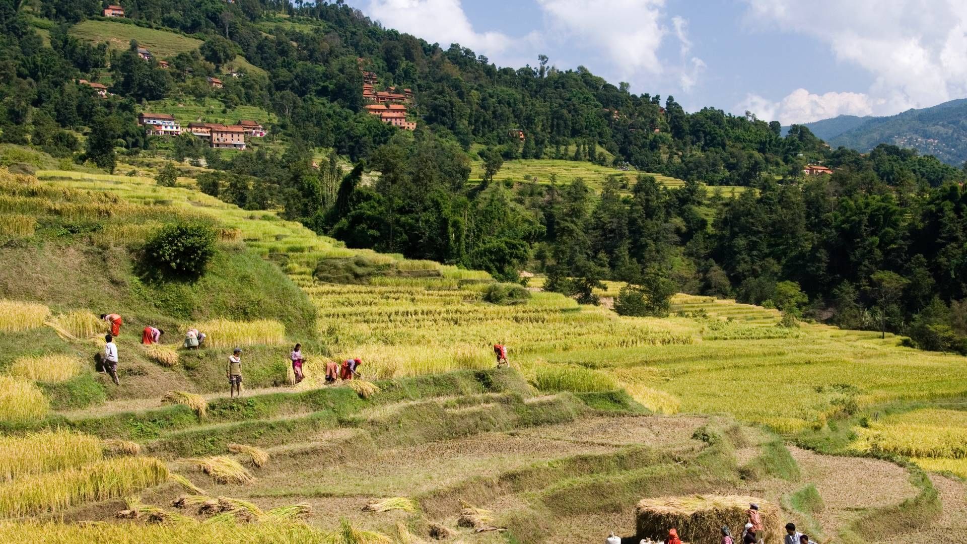 Best time to visit Laliput