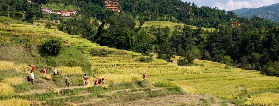 Best time to visit Laliput