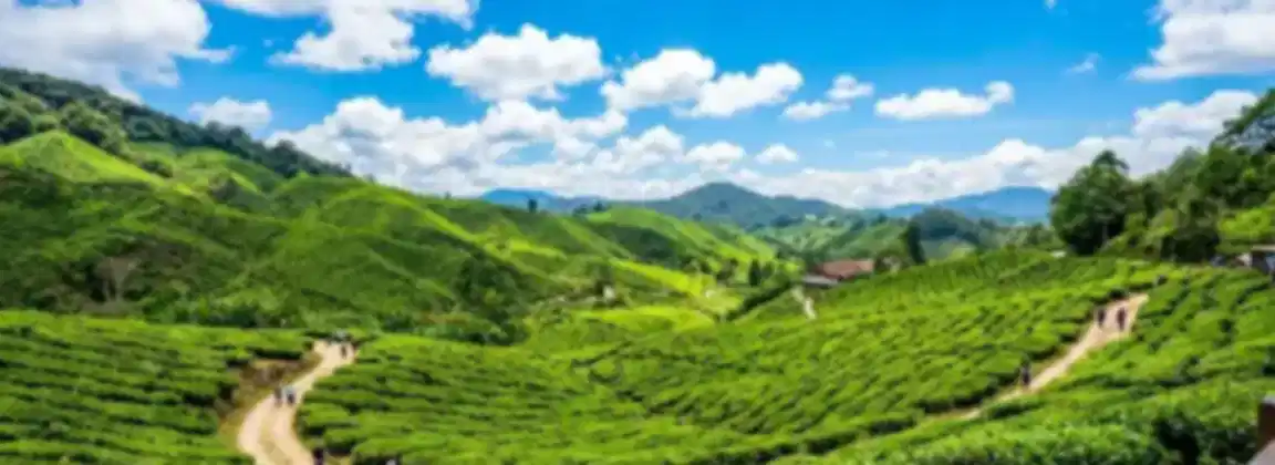 Best Time to Visit Malaysia: Weather, Months & Travel Guide 2026