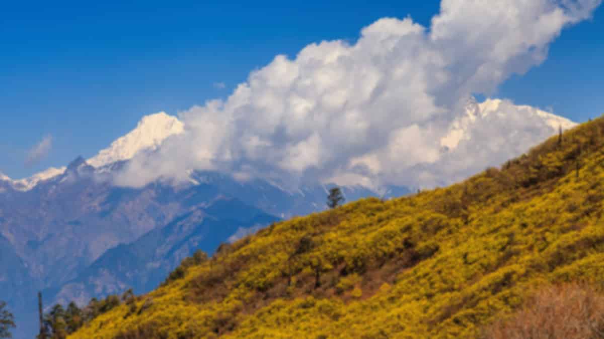 Best Time to Visit Thimphu