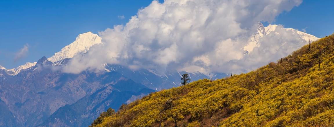 best time to visit thimphu